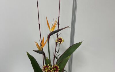 2023/10/24の花