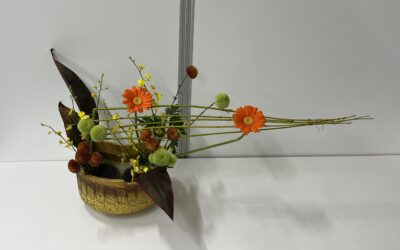 2023/11/20の花