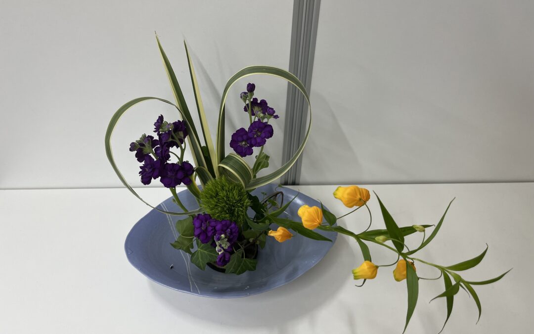 2023/12/4の花