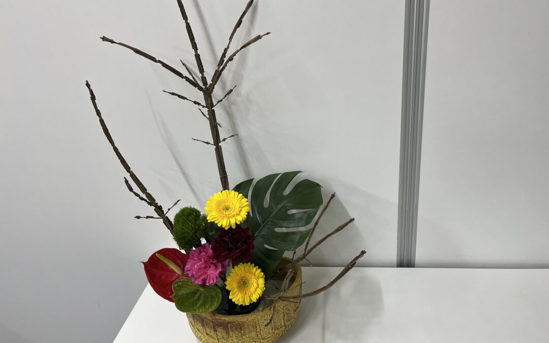 2024/1/22の花