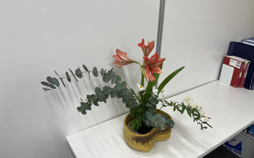 2024/2/19の花