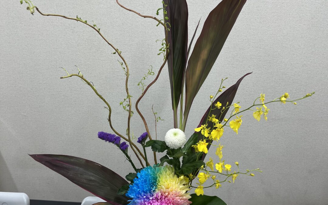 2024/7/23の花
