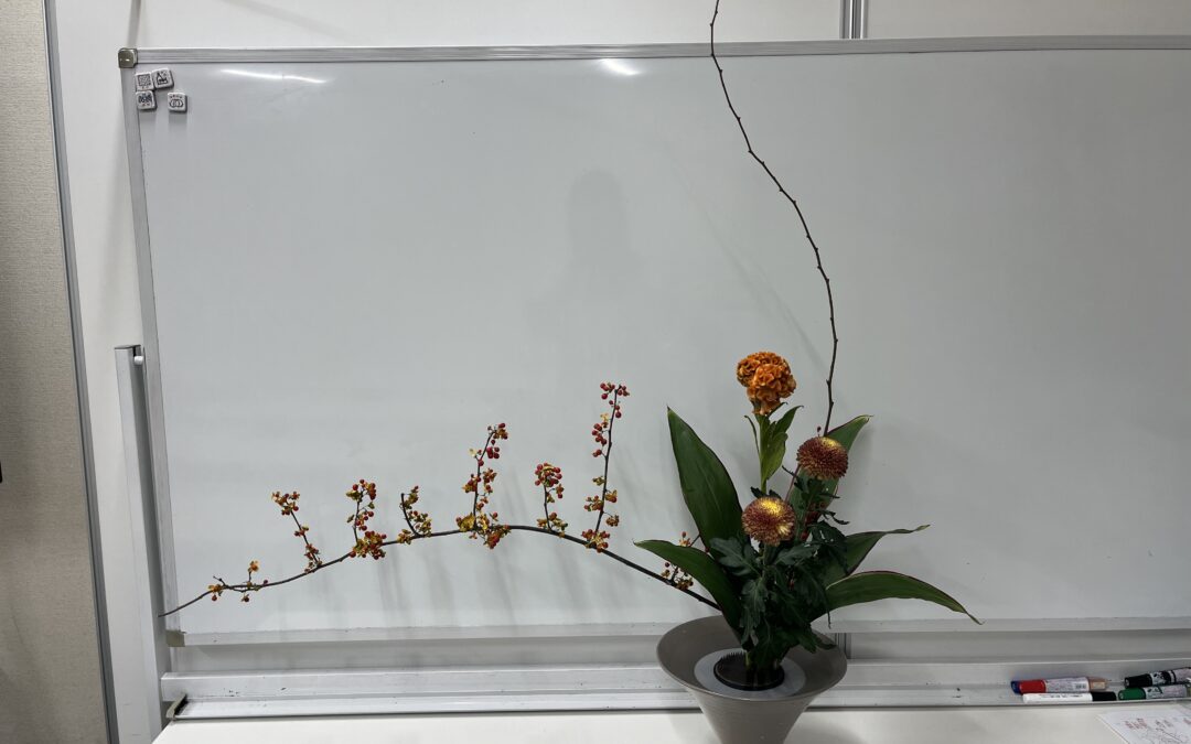 2024/11/18の花
